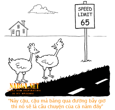 Chuyện một con gà băng qua đường