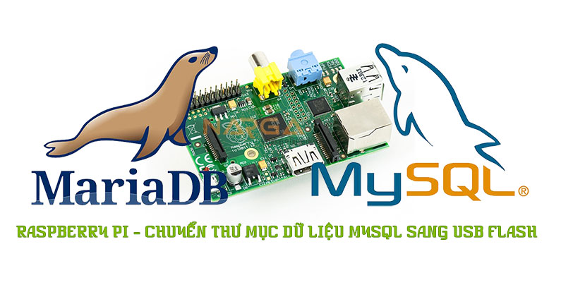 RaspBerry Pi - Chuyển thư mục dữ liệu MySQL sang USB Flash